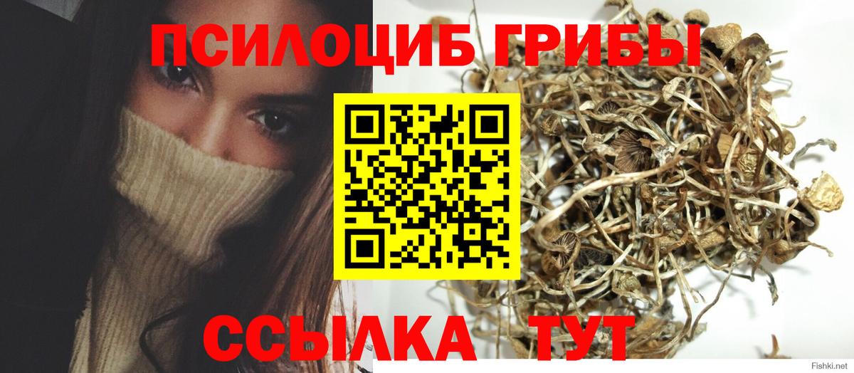 Галлюциногенные грибы мицелий Советский