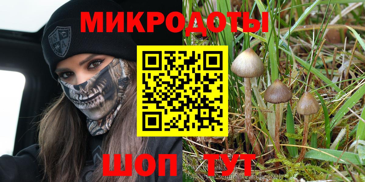 Псилоцибиновые грибы мицелий  продажа наркотиков  Советский  Вход с VPN 